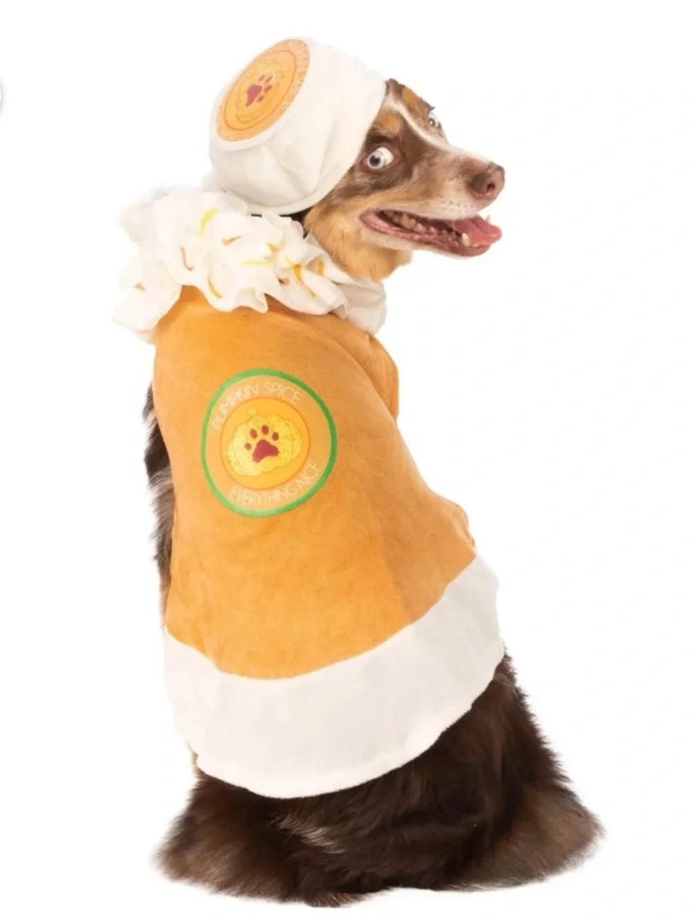Rubies pumpkin spice dog dress up costume Medium
